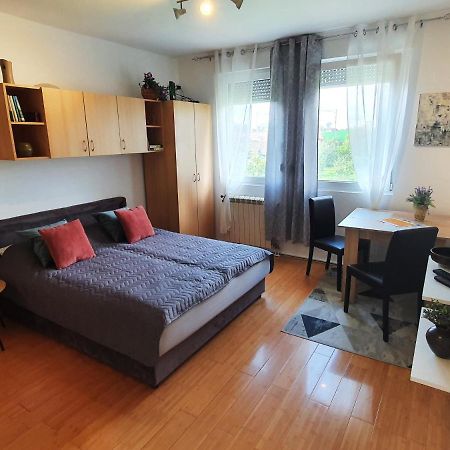 Apartman 64 - Besplatan Parking Za Goste Novi Sad Exterior photo